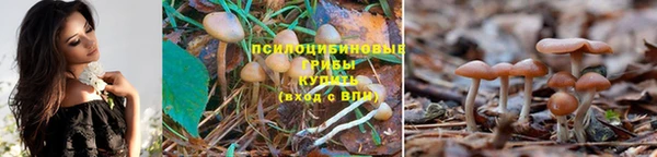 экстази Алзамай